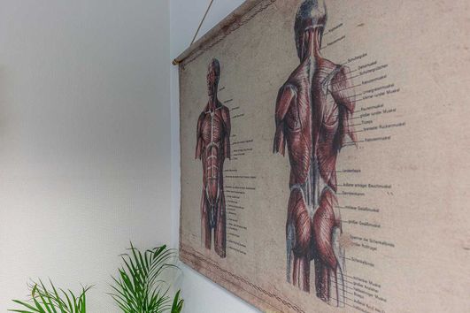 Impressionen aus der Praxis für Physiotherapie in Dormagen