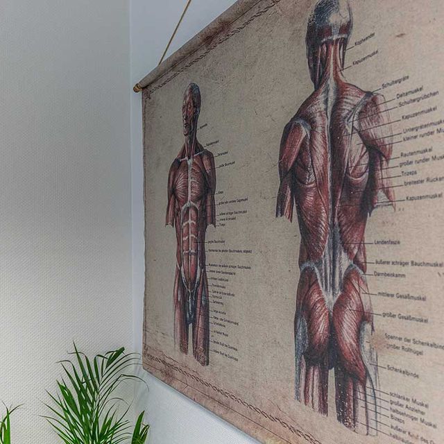 Impressionen aus der Praxis für Physiotherapie in Dormagen